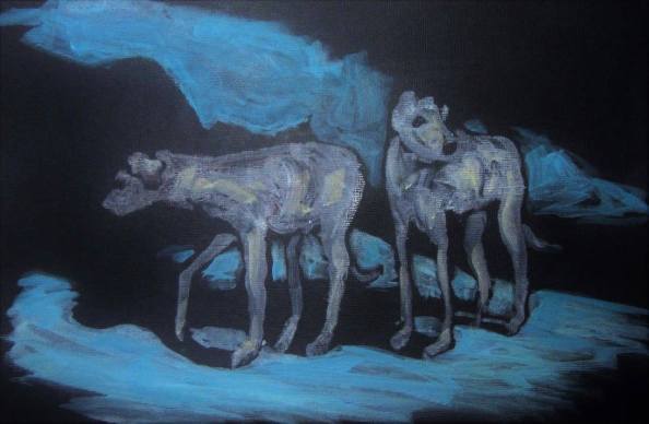 13268491_10154192754829122_8161737453890887398_o