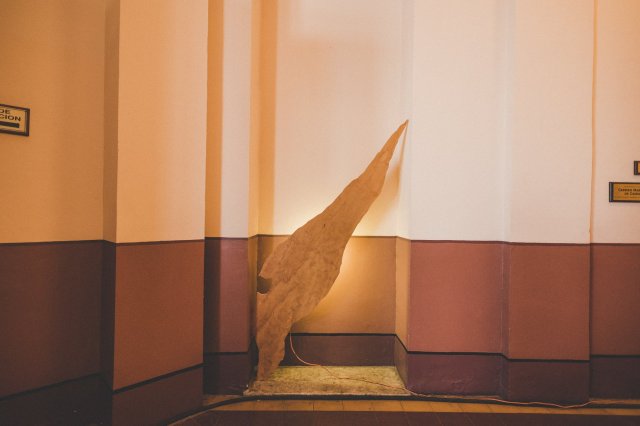 52173536_10161436240410164_1142374890288971776_o