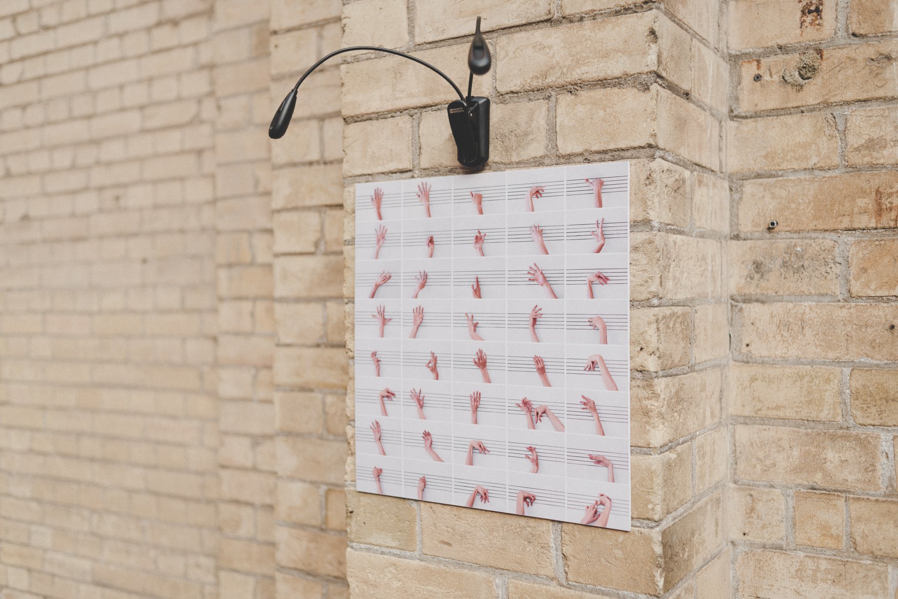 52373458_10161436239540164_1771112408266309632_o