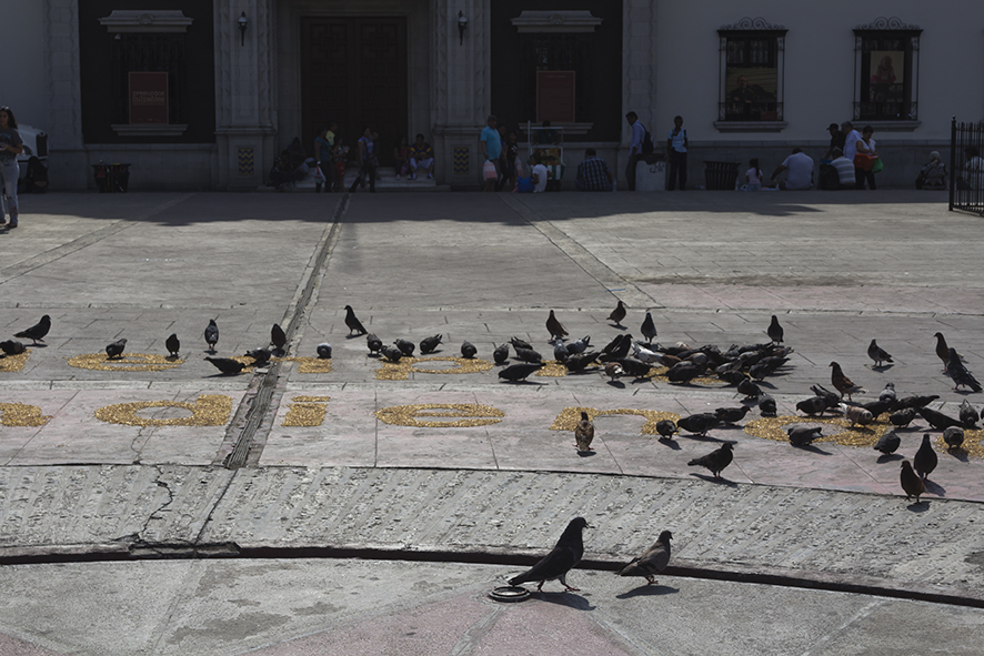 Registro del artista