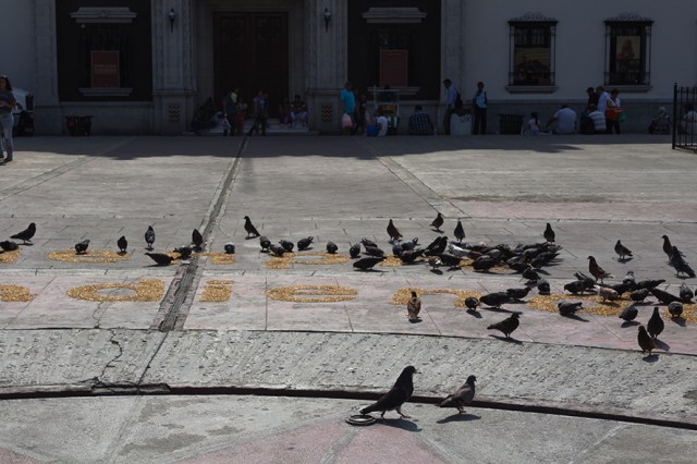 Registro del artista